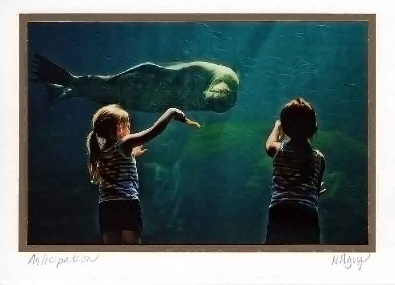 Travfoto - custom greeting cards - anticipation